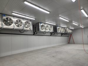 Warehouse Evaporators